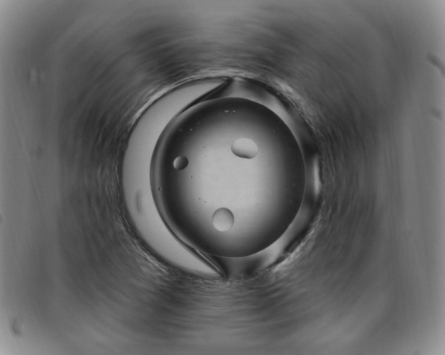 X0000098151361200804241729