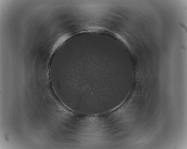 X0000098151362200804241729