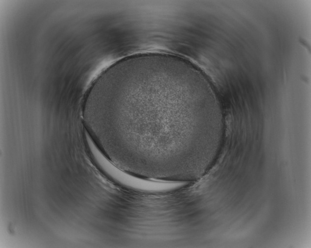 X0000098151363200804241729