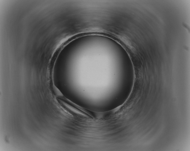 X0000098151364200804241729