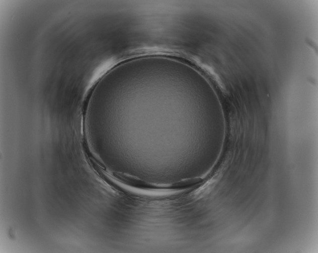 X0000098151365200804241729