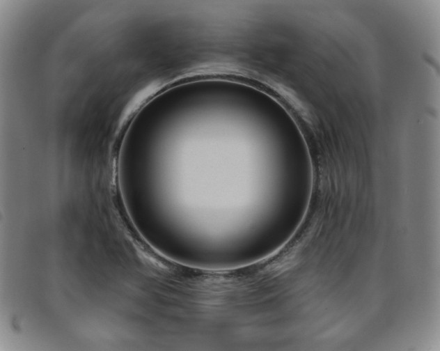 X0000098151366200804241729