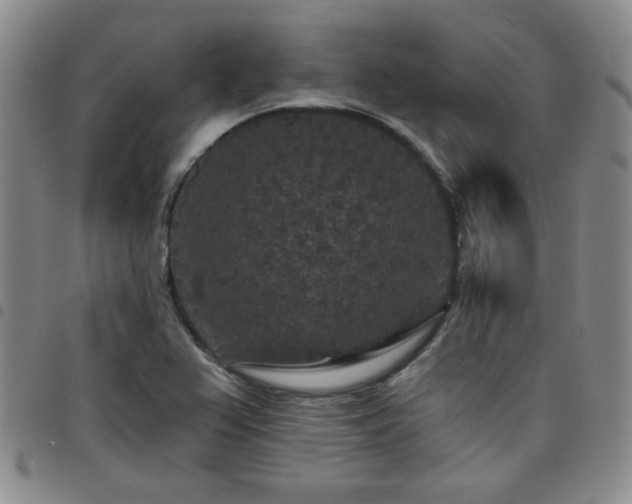 X0000098151367200804241729