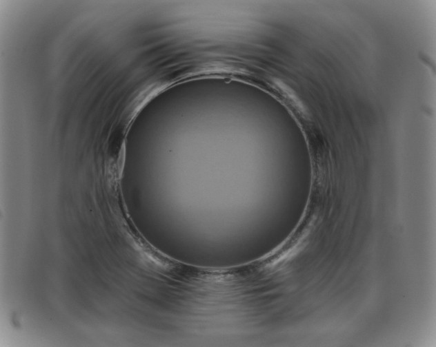 X0000098151369200804241729