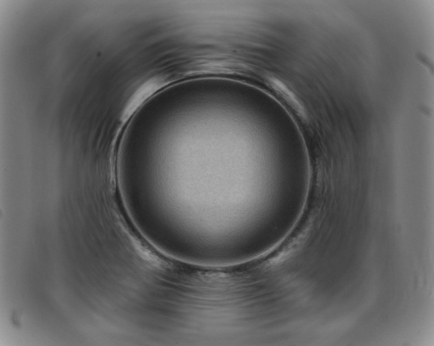 X0000098151370200804241729
