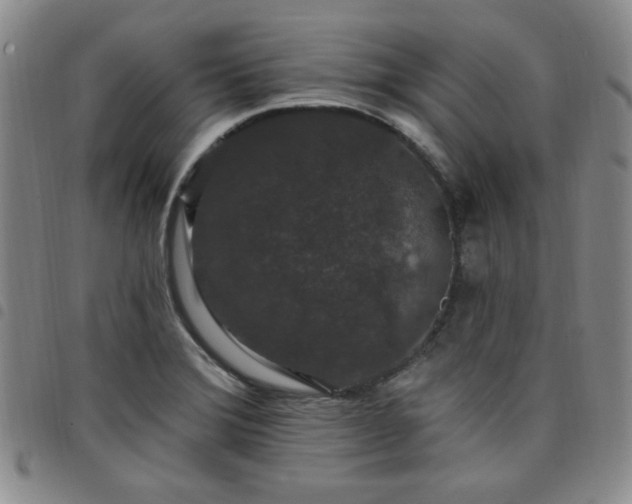 X0000098151372200804241729