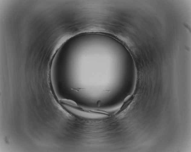 X0000098151374200804241729