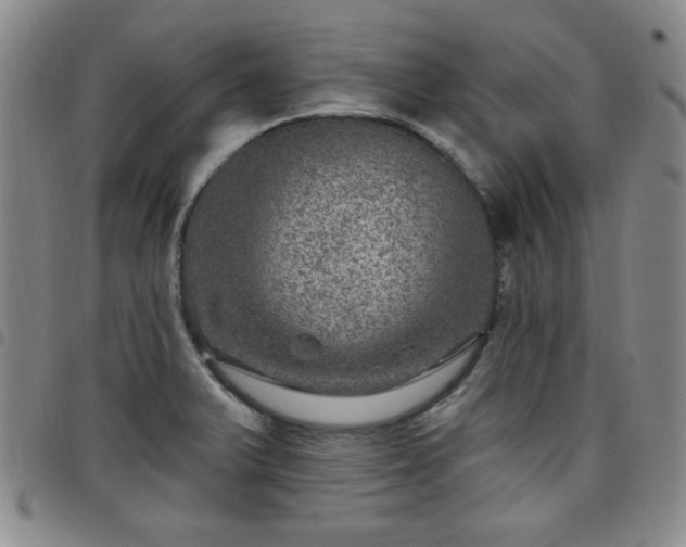 X0000098151375200804241729