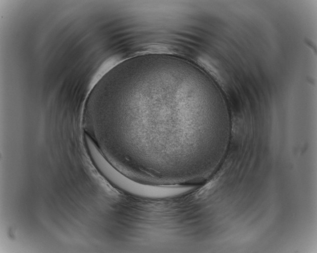 X0000098151378200804241729