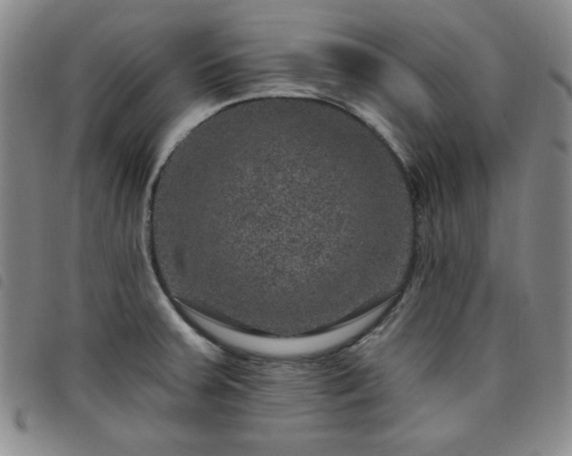 X0000098151379200804241729