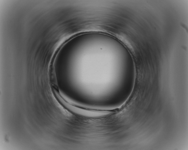 X0000098151380200804241729