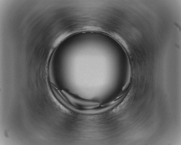 X0000098151381200804241729