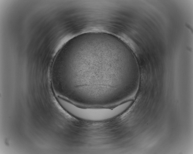 X0000098151382200804241728