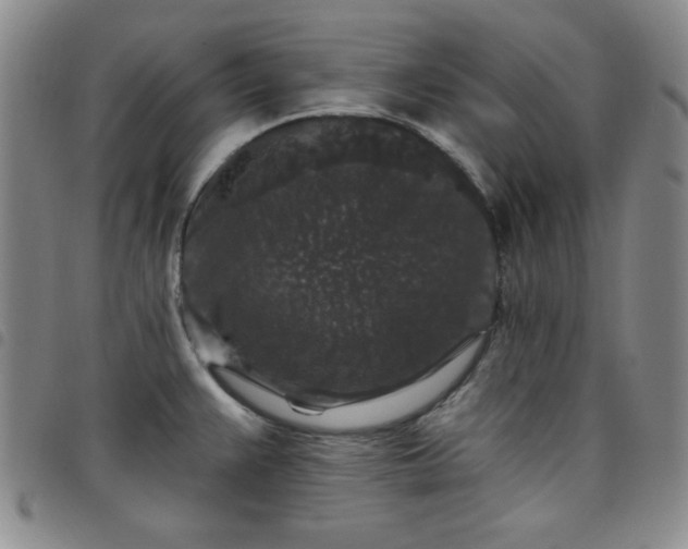 X0000098151383200804241728