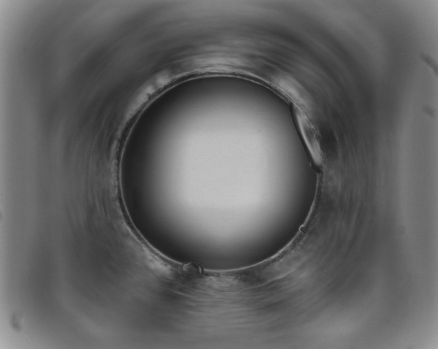 X0000098151384200804241728
