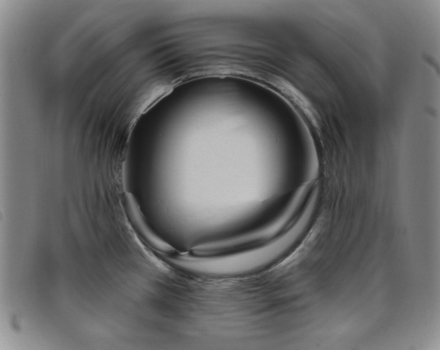 X0000098151385200804241728