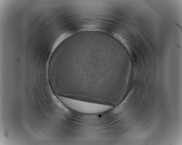X0000098151386200804241728