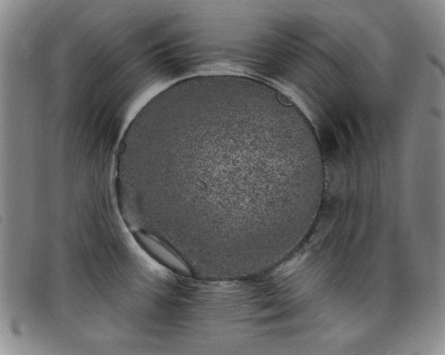 X0000098151387200804241728