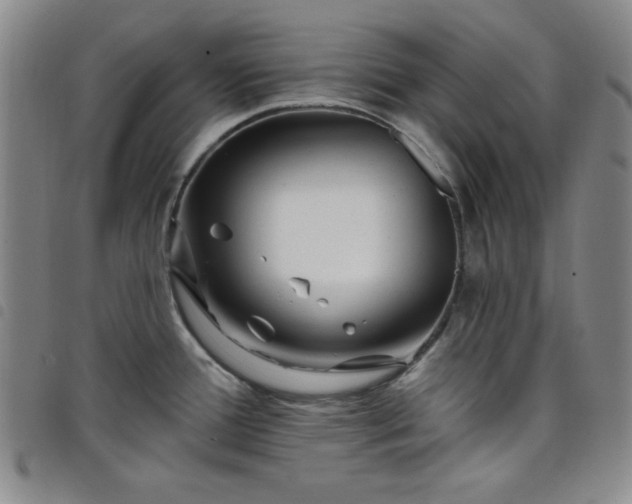 X0000098151388200804241728