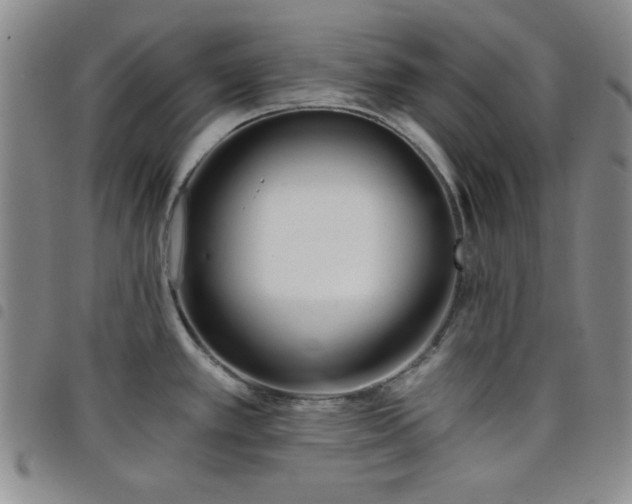 X0000098151389200804241728