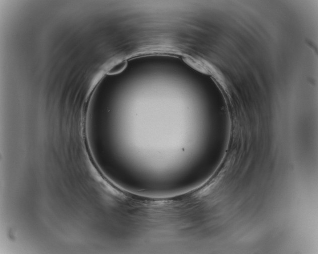 X0000098151390200804241728