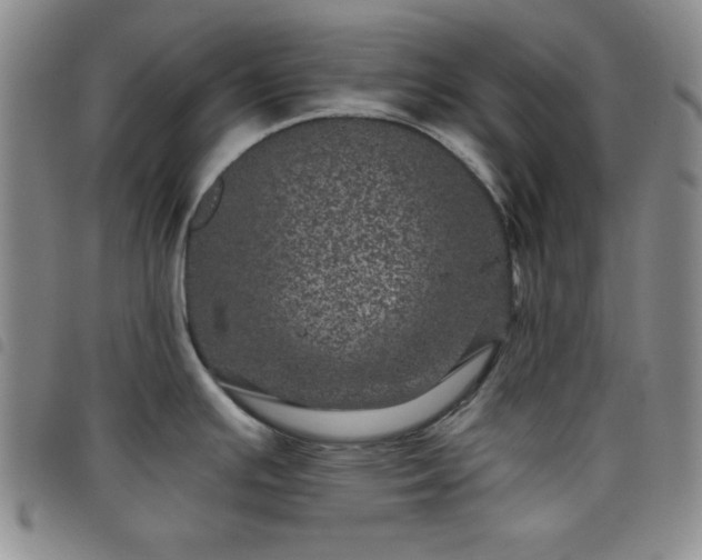 X0000098151391200804241728