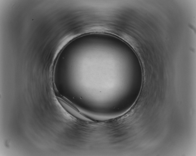 X0000098151392200804241728