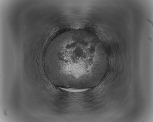 X0000098151393200804241728
