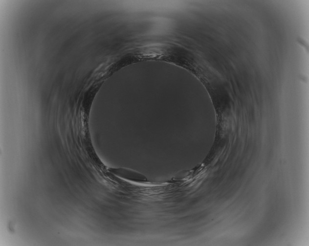 X0000098151394200804241728