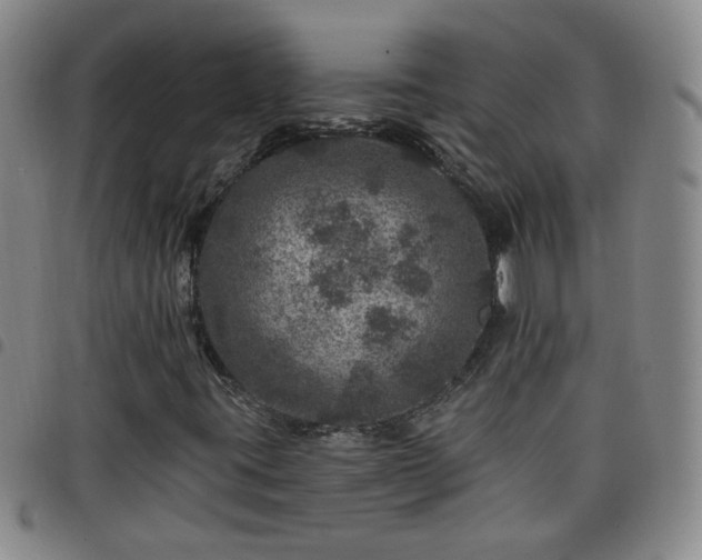 X0000098151395200804241728