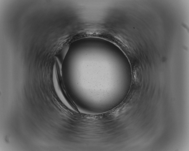 X0000098151396200804241728