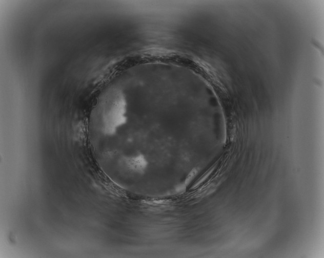 X0000098151397200804241728