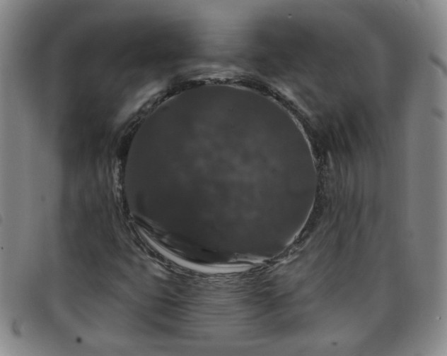 X0000098151399200804241728