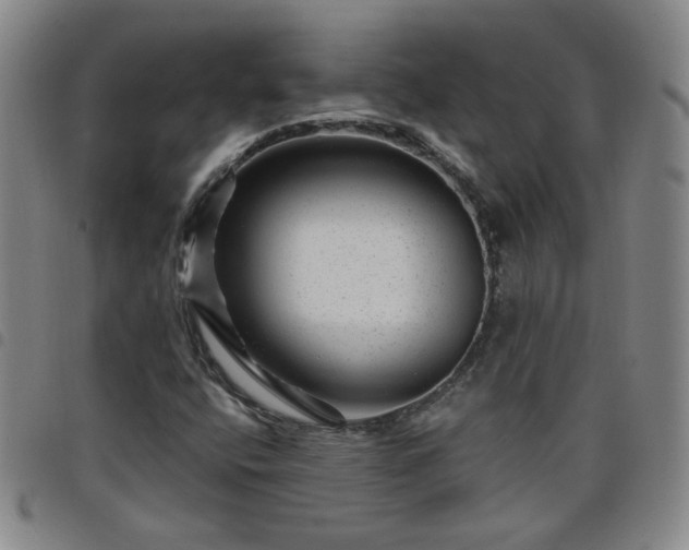 X0000098151400200804241728