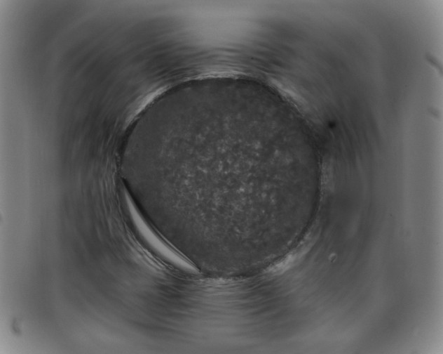 X0000098151401200804241728