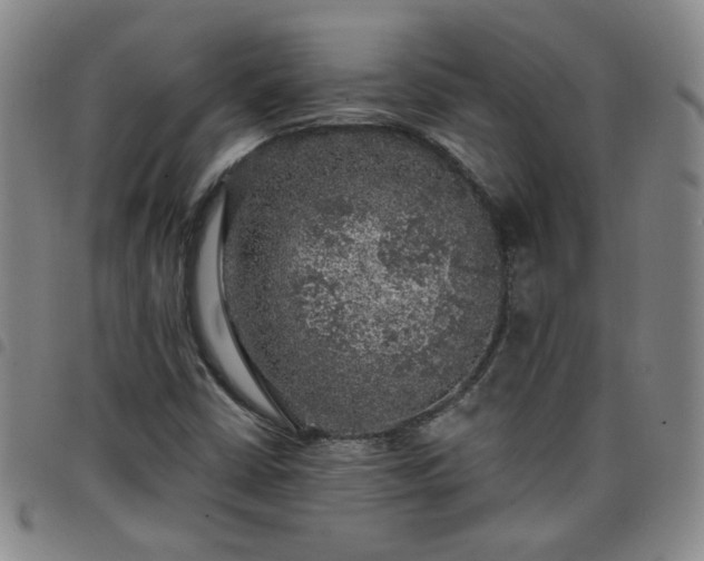 X0000098151402200804241728