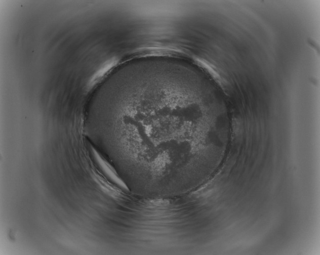 X0000098151403200804241728