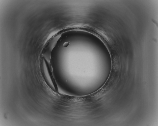 X0000098151404200804241728