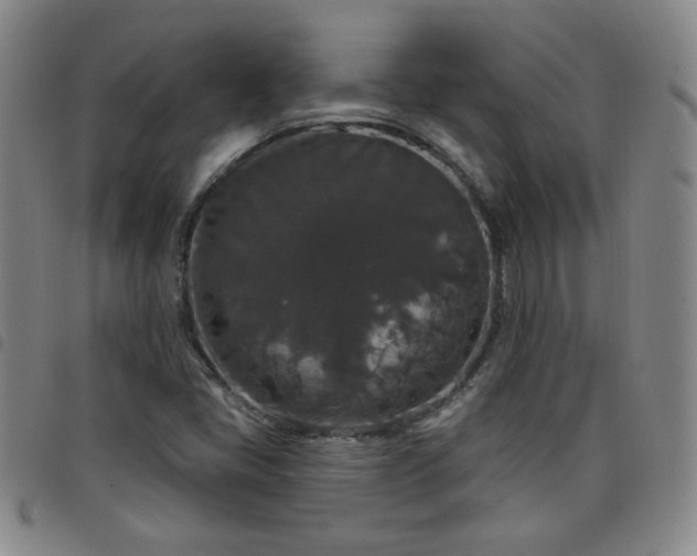 X0000098151405200804241728