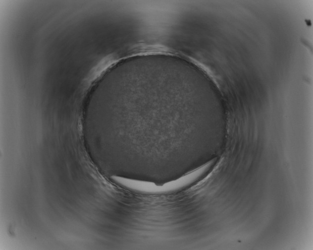 X0000098151407200804241728
