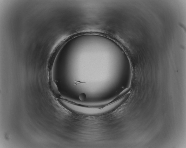 X0000098151408200804241728
