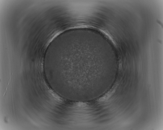 X0000098151409200804241728