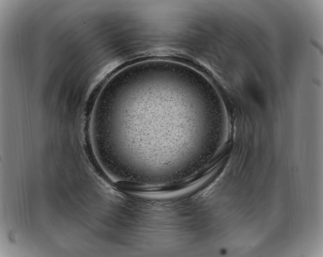 X0000098151410200804241728