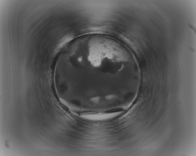 X0000098151411200804241728