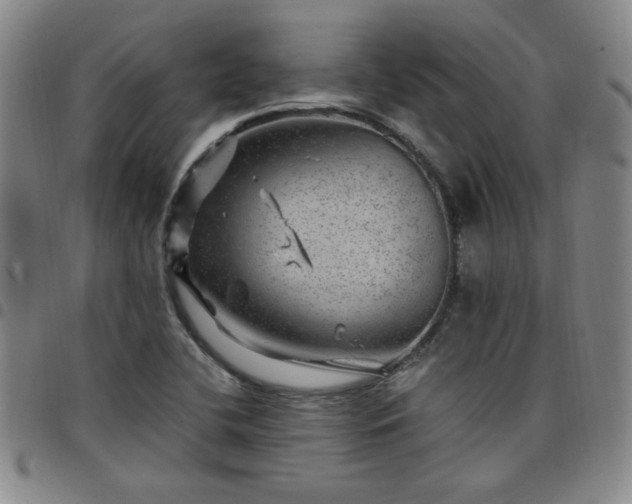 X0000098151412200804241728