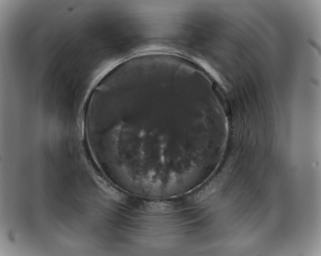 X0000098151413200804241728