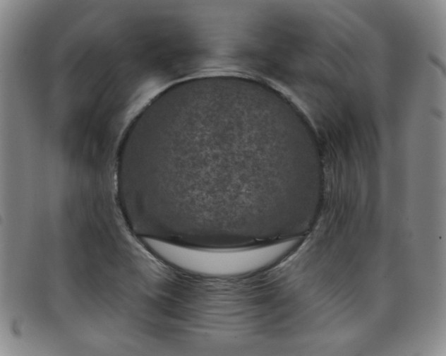 X0000098151415200804241728