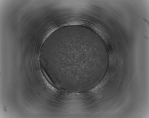 X0000098151417200804241728