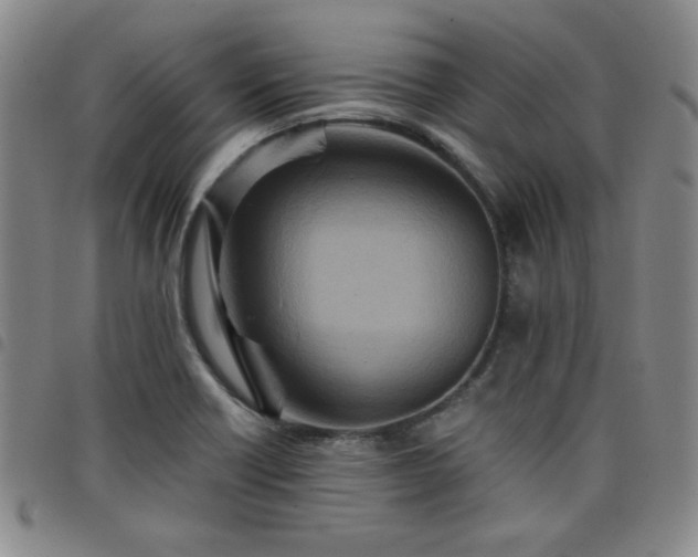 X0000098151418200804241728
