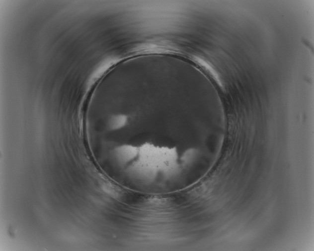 X0000098151419200804241728